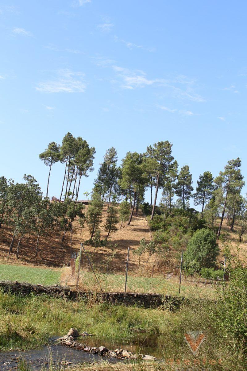 For sale of rural property in Valverde del Fresno