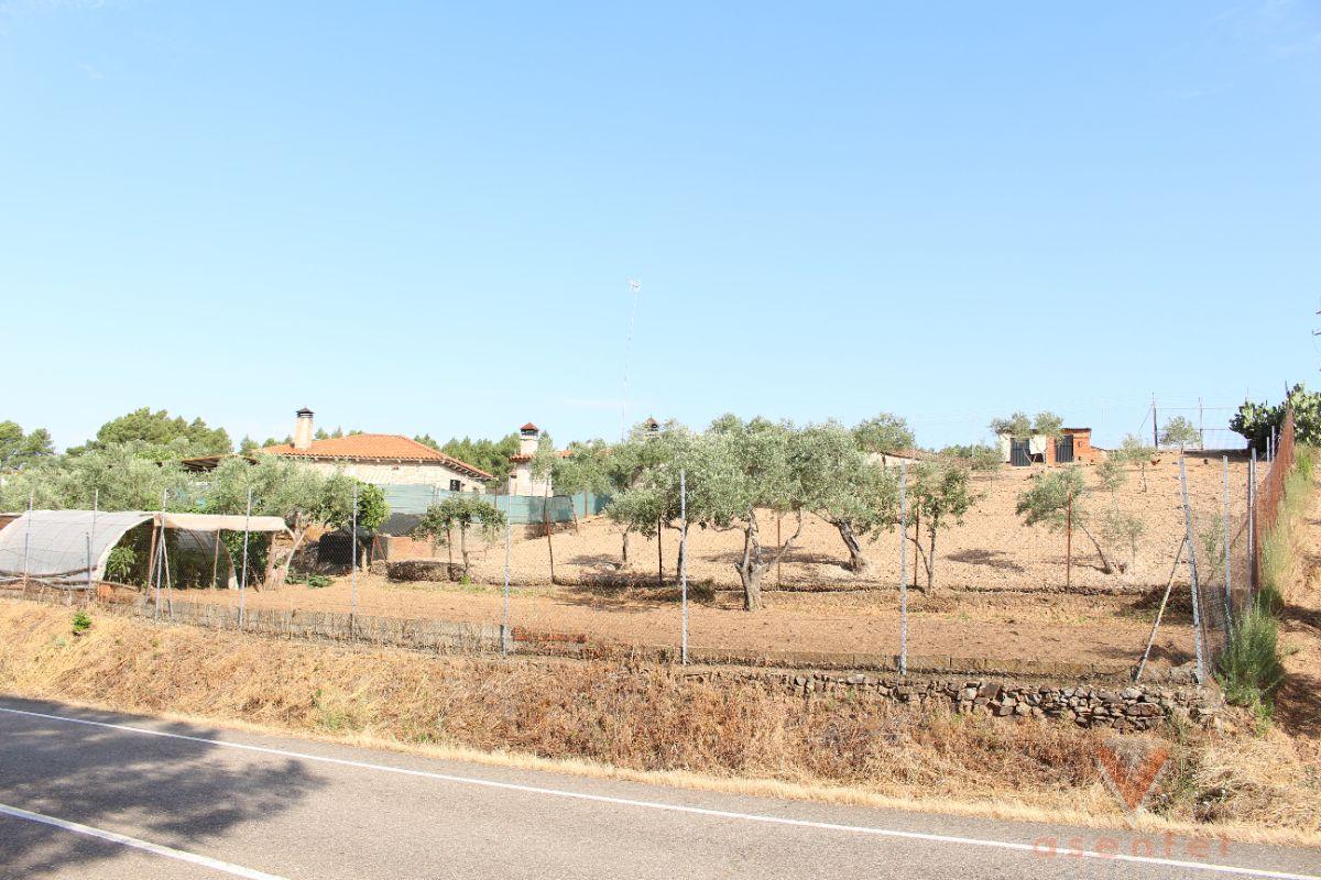 For sale of rural property in Valverde del Fresno