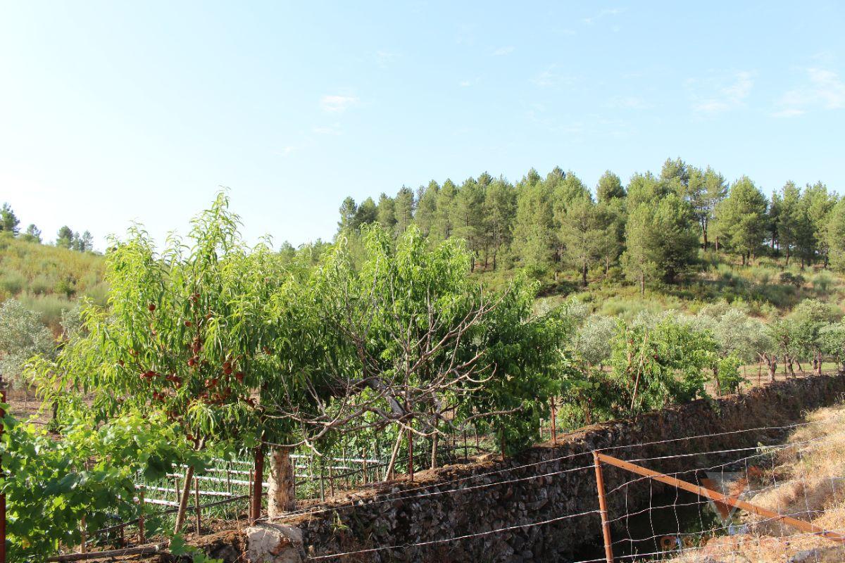 For sale of rural property in Valverde del Fresno