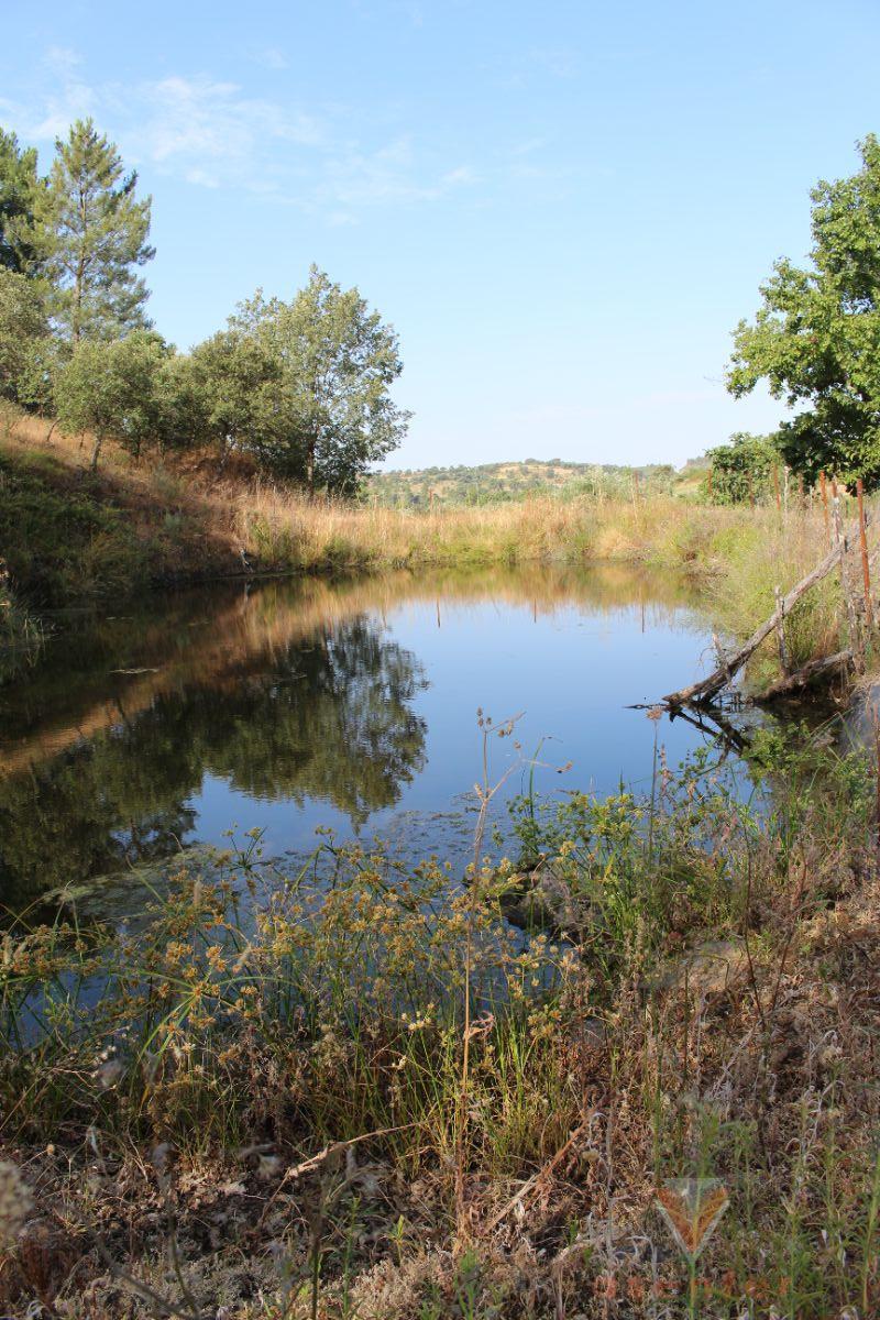 For sale of rural property in Valverde del Fresno
