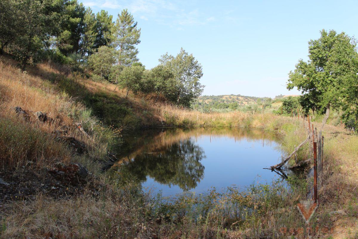 For sale of rural property in Valverde del Fresno
