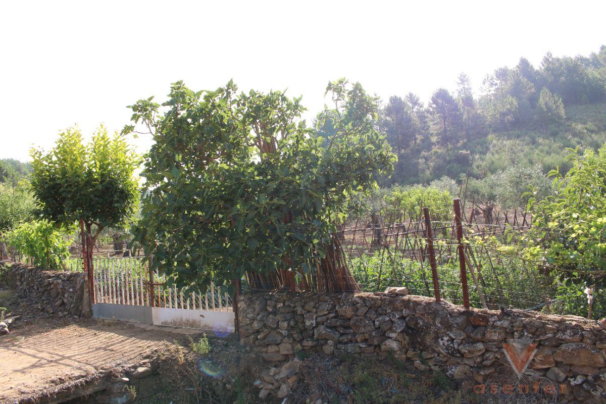 For sale of rural property in Valverde del Fresno