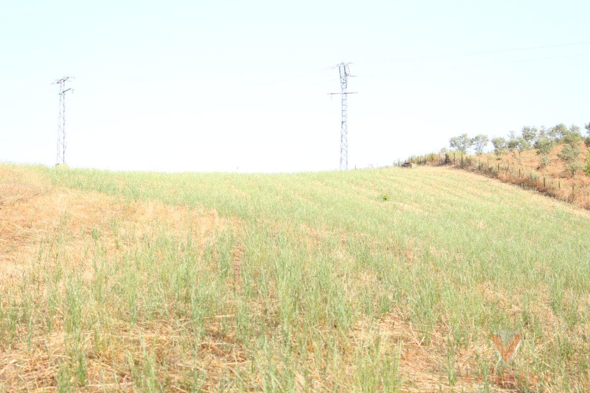For sale of rural property in Valverde del Fresno