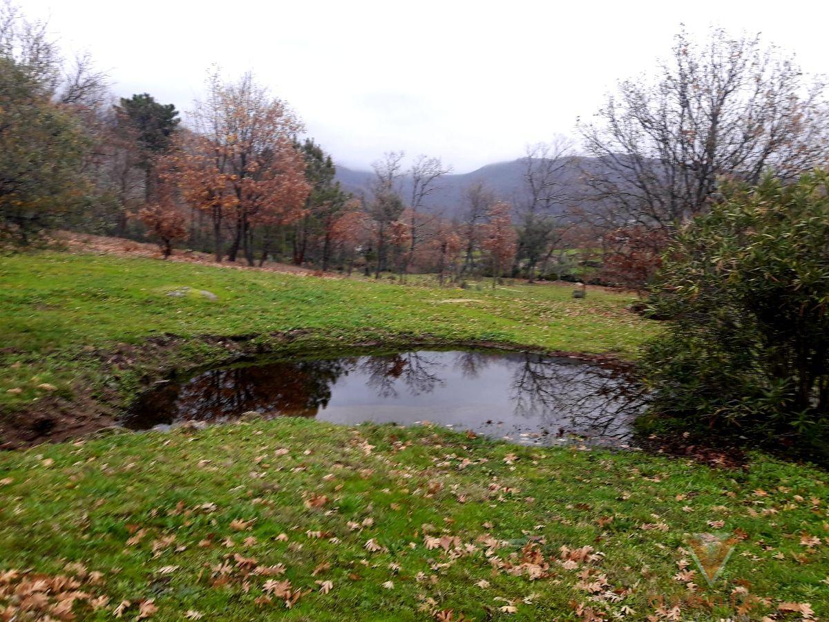 Ground
