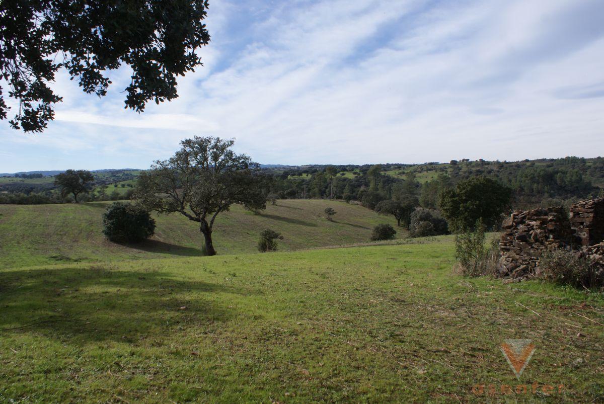 For sale of land in Valverde del Fresno