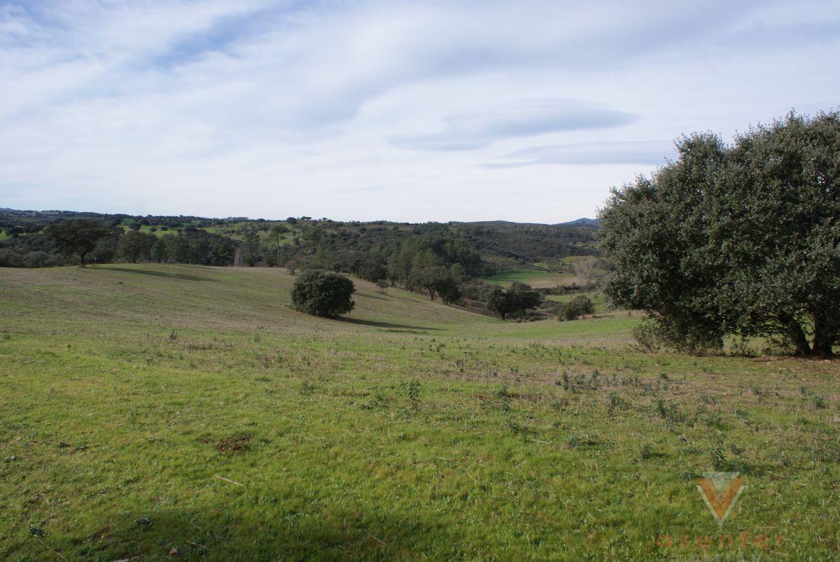 For sale of land in Valverde del Fresno