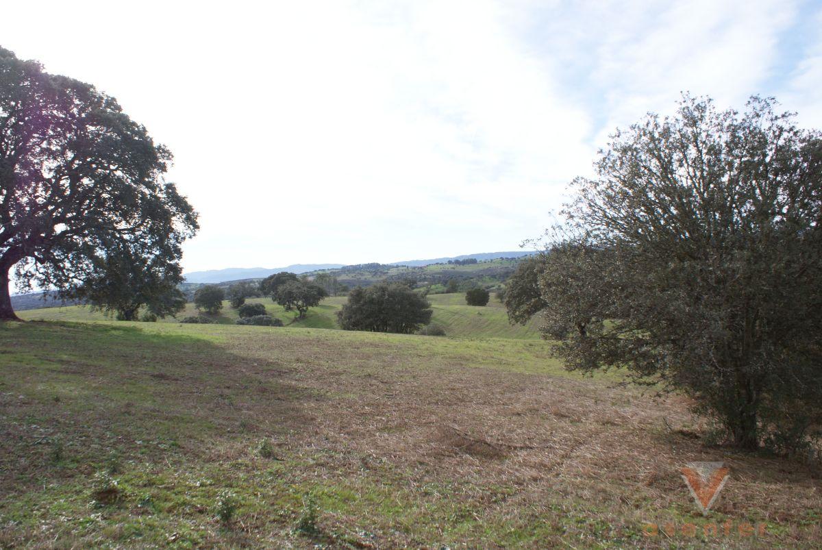 For sale of land in Valverde del Fresno