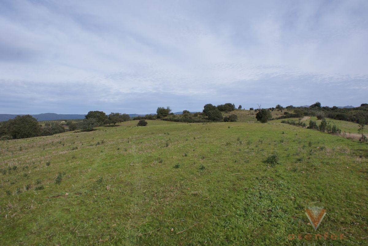 For sale of land in Valverde del Fresno