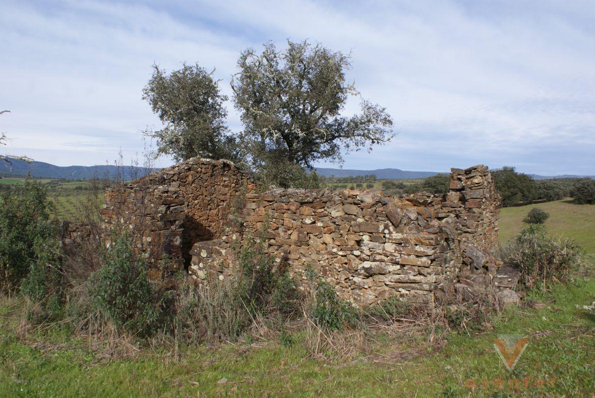 For sale of land in Valverde del Fresno