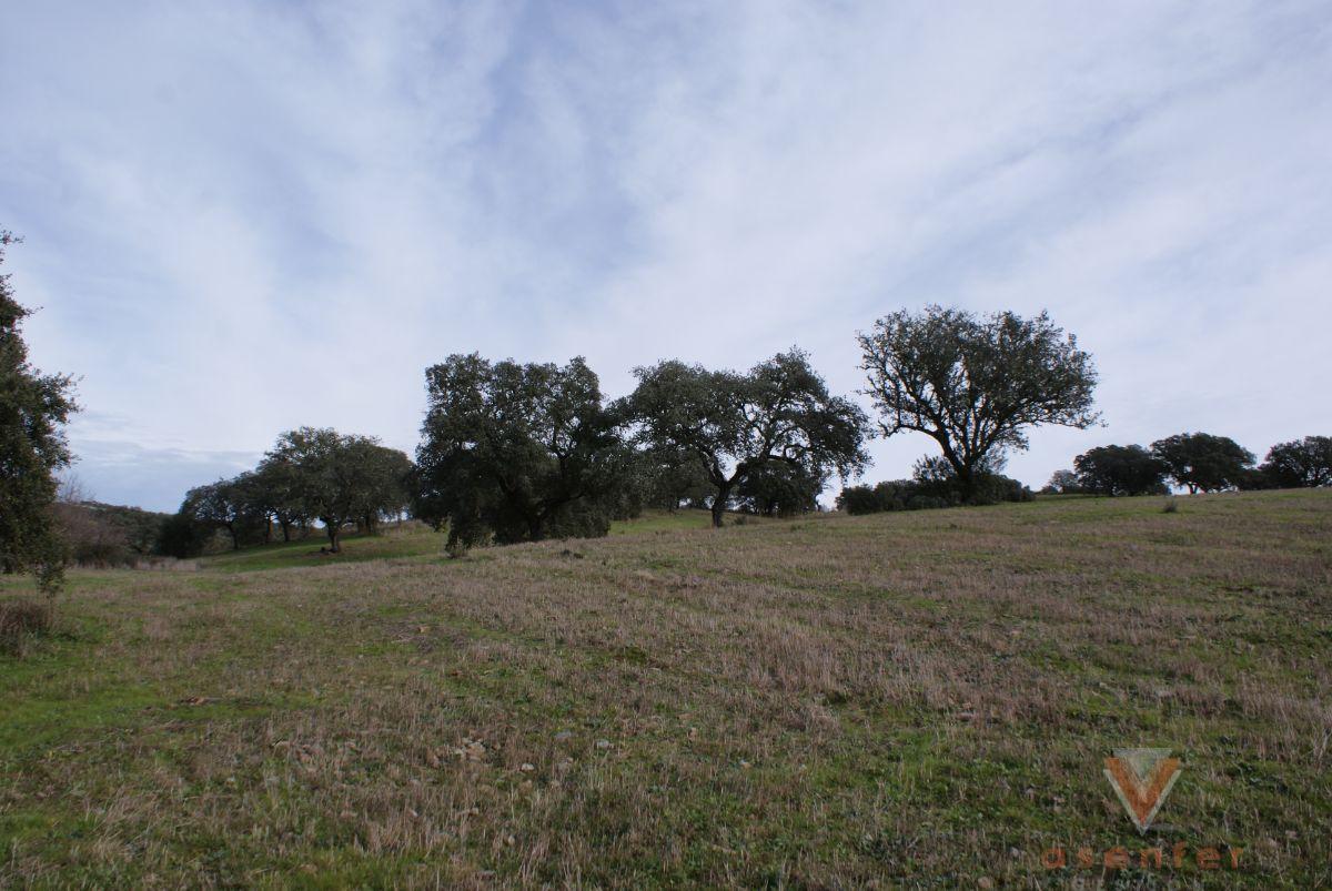 For sale of land in Valverde del Fresno