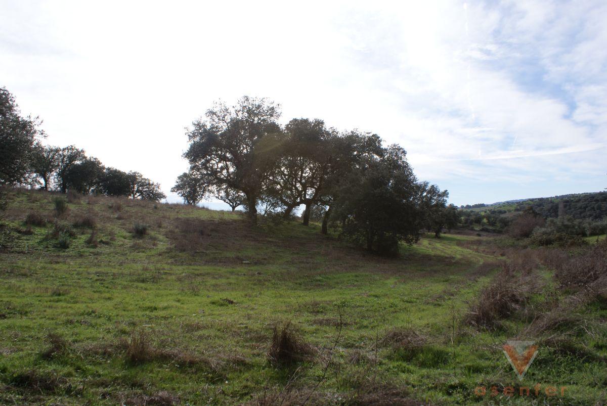 Venta de terreno en Valverde del Fresno