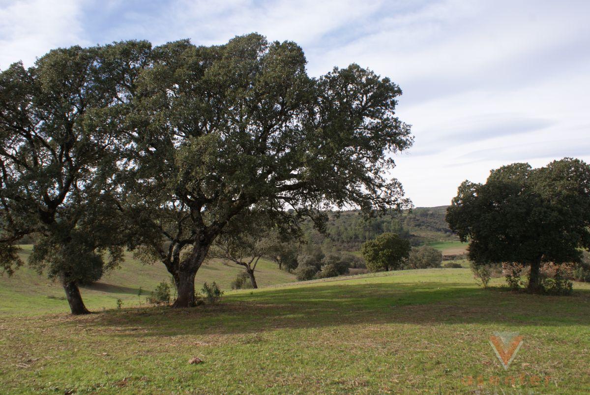 For sale of land in Valverde del Fresno