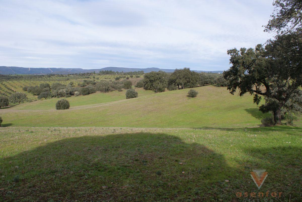 For sale of land in Valverde del Fresno