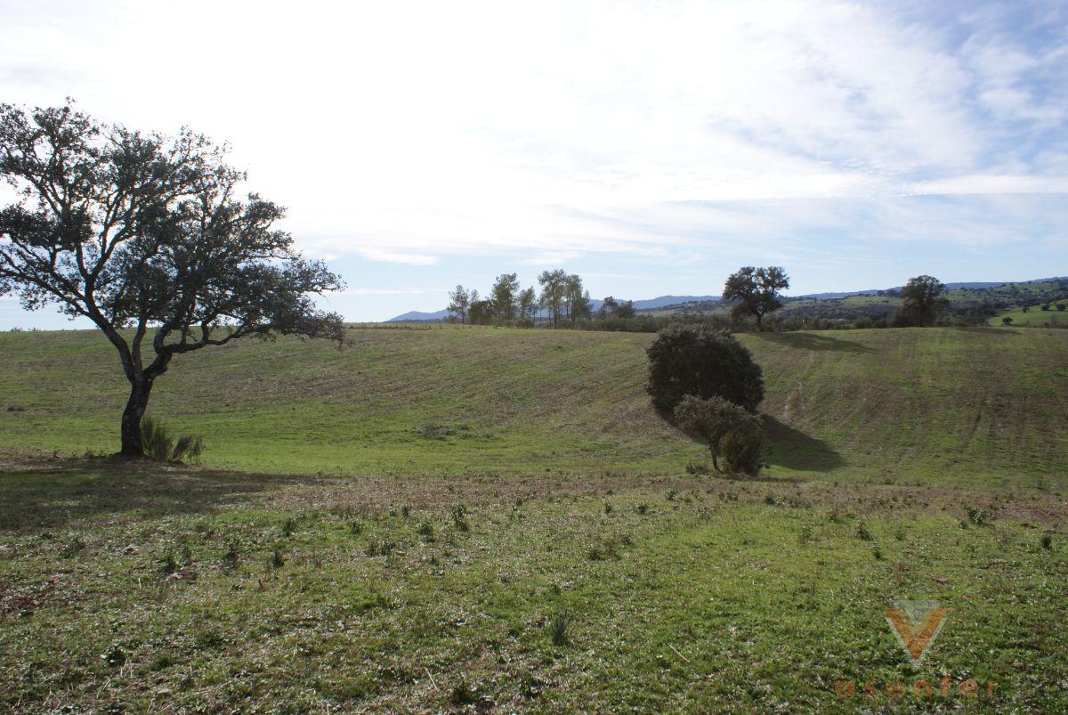 For sale of land in Valverde del Fresno