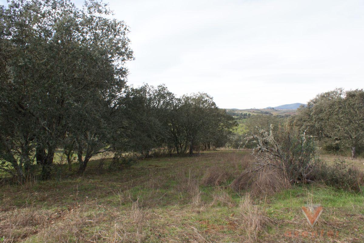 For sale of land in Valverde del Fresno