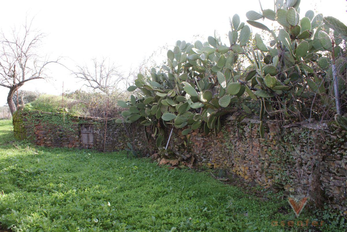 For sale of land in Valverde del Fresno