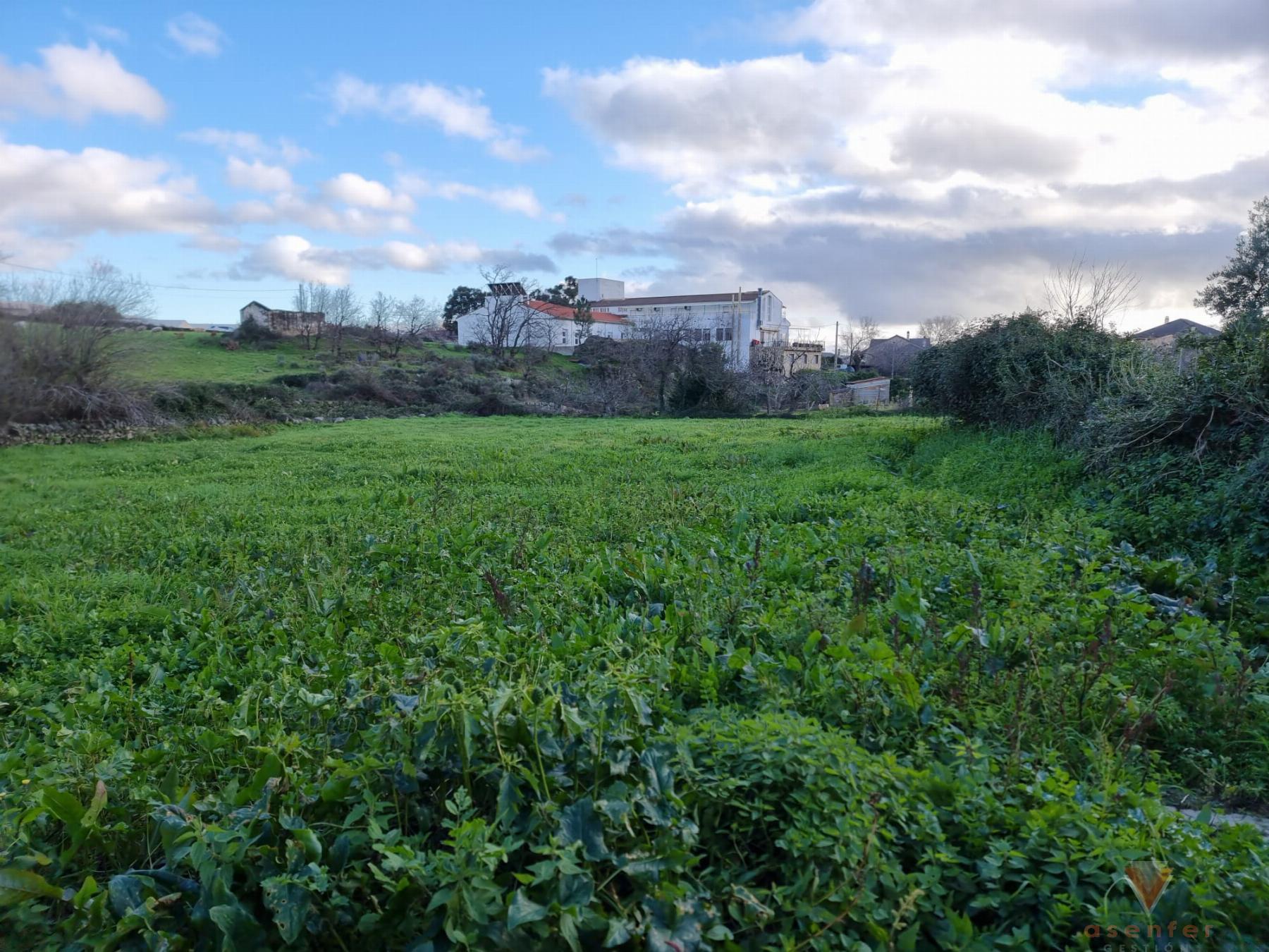 For sale of rural property in Valverde del Fresno
