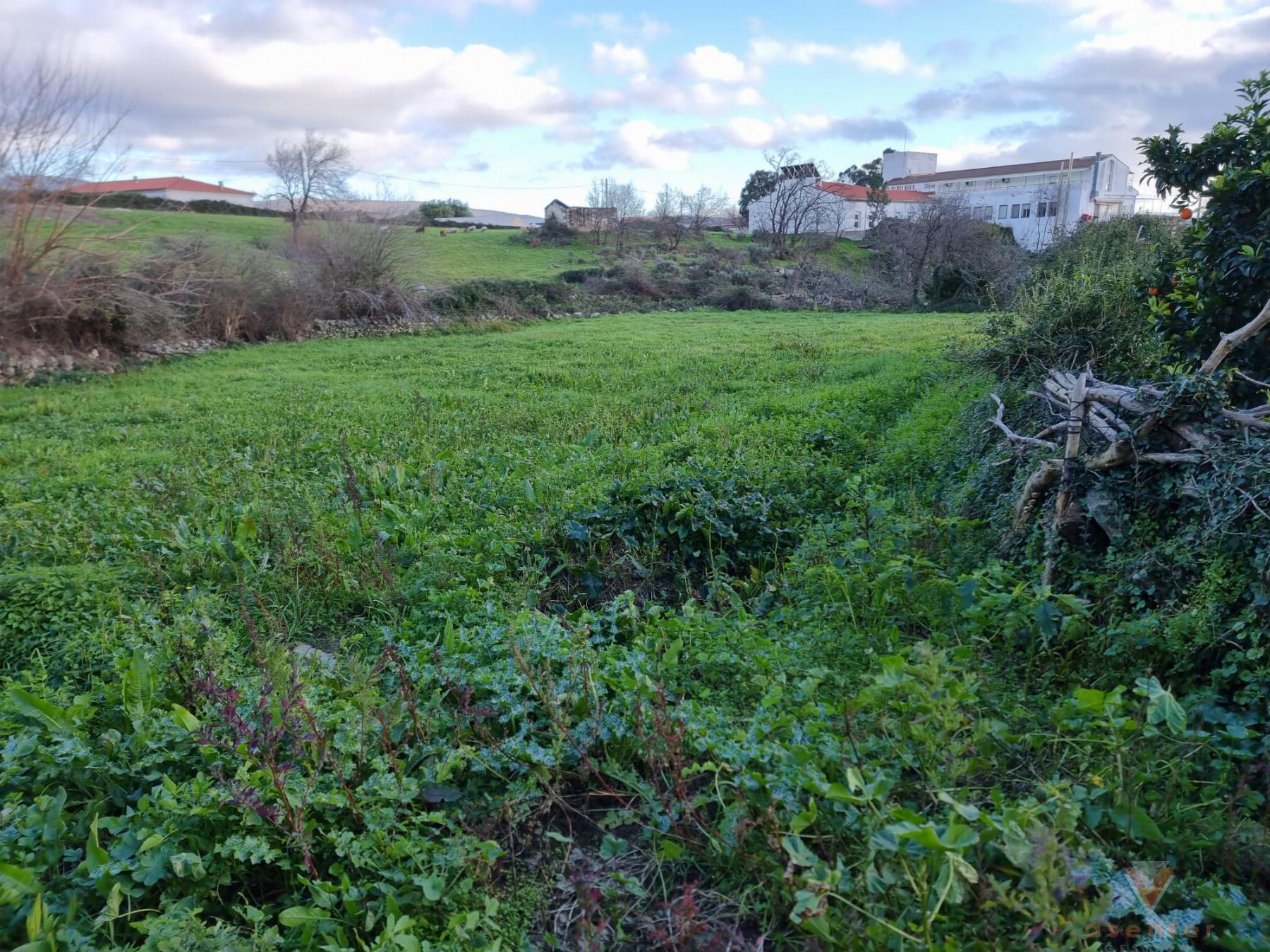For sale of rural property in Valverde del Fresno
