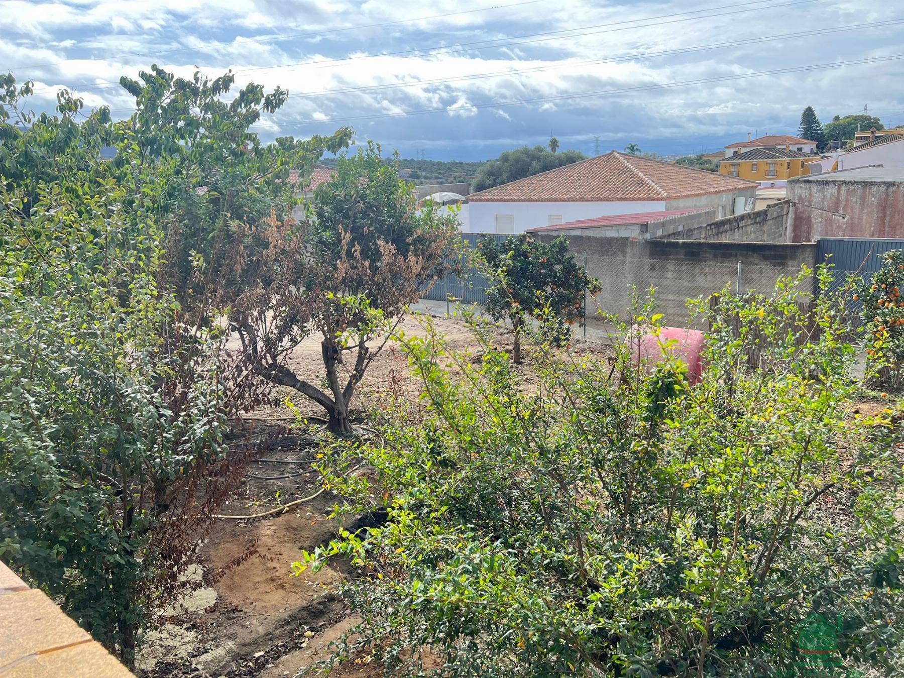 For sale of rural property in San Roque