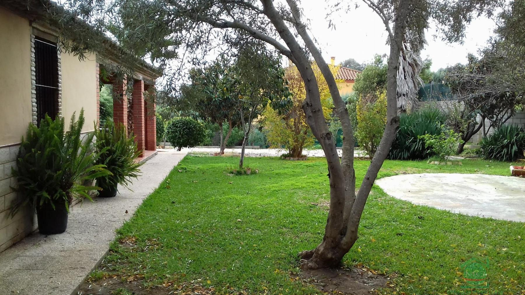 For sale of rural property in San Roque