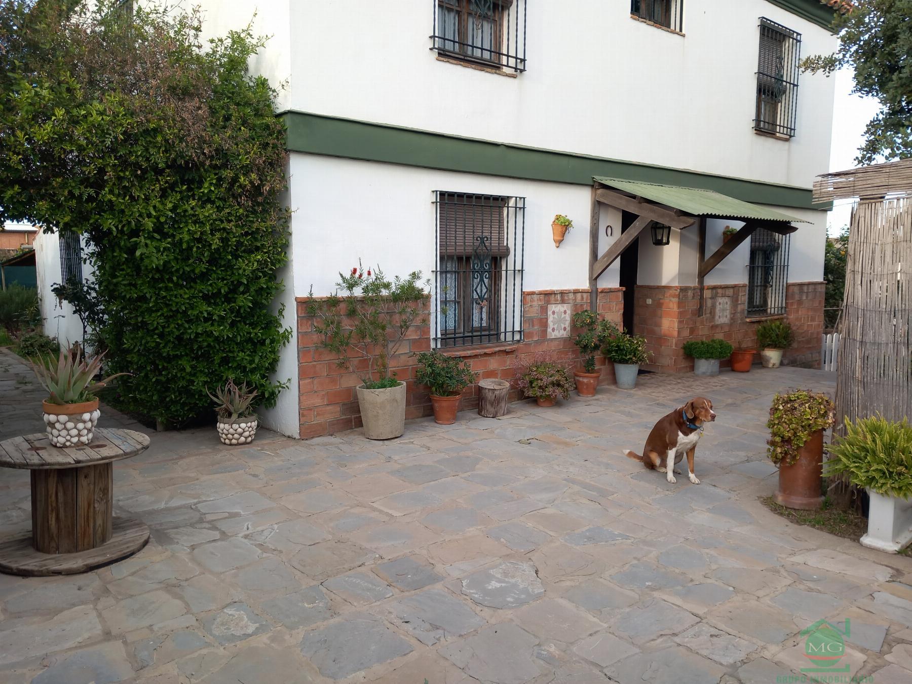 For sale of chalet in La Linea de la Concepcion