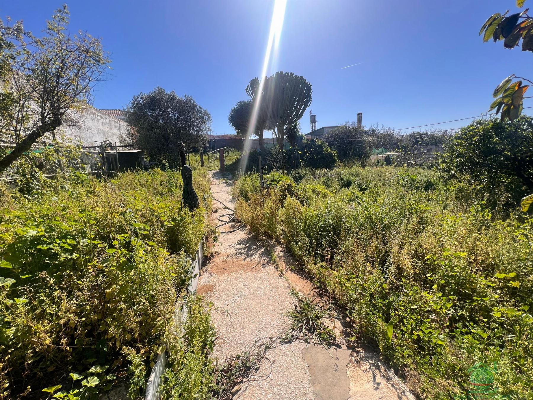 For sale of land in San Roque