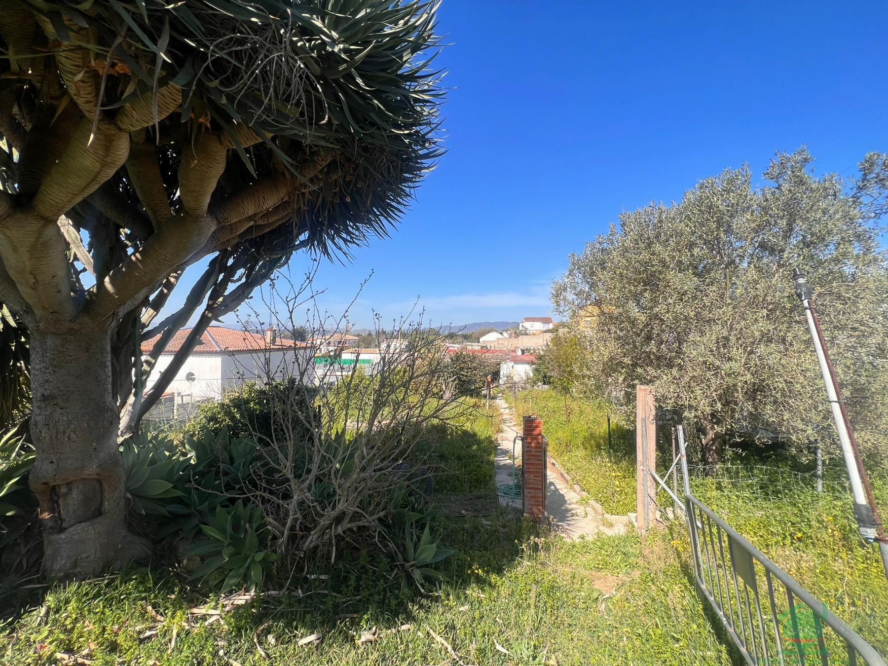 For sale of land in San Roque