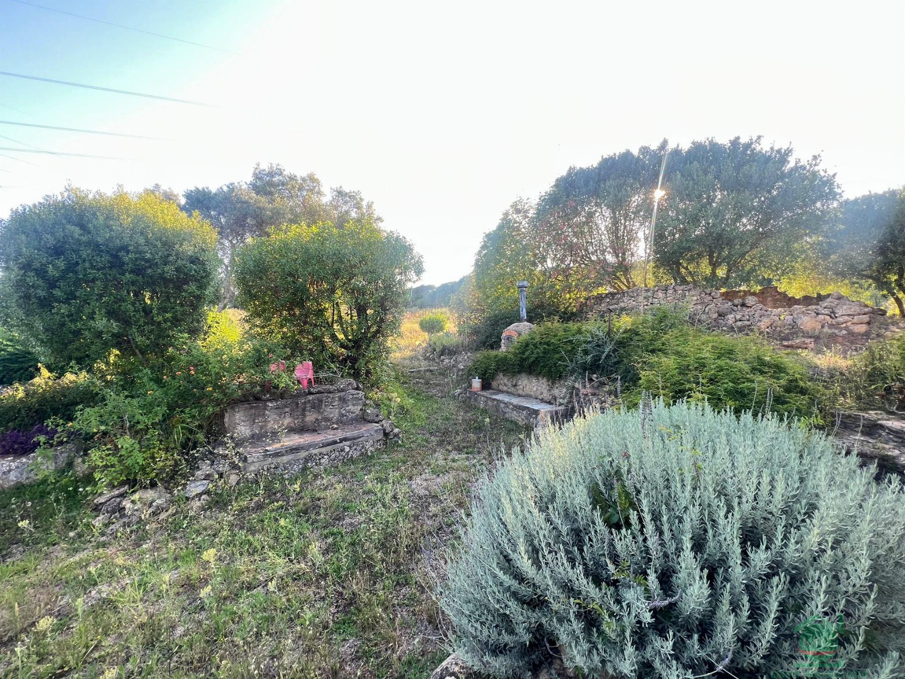 For sale of rural property in San Roque
