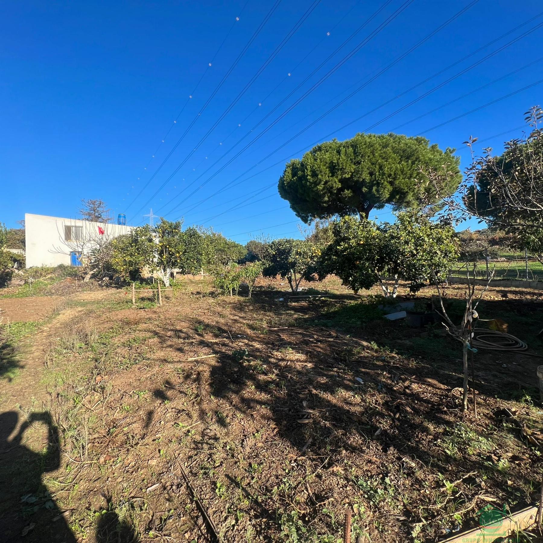 For sale of rural property in San Roque