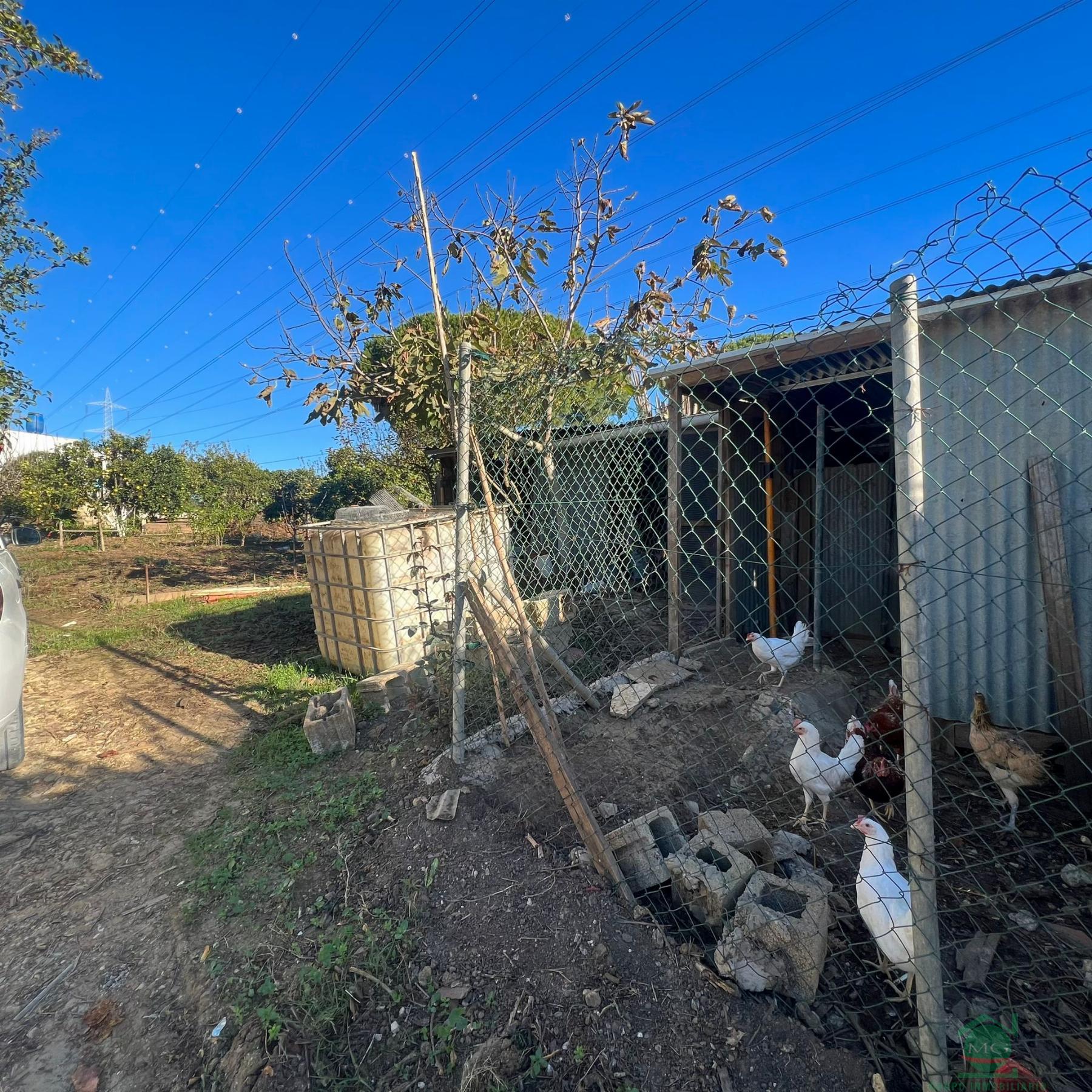 For sale of rural property in San Roque