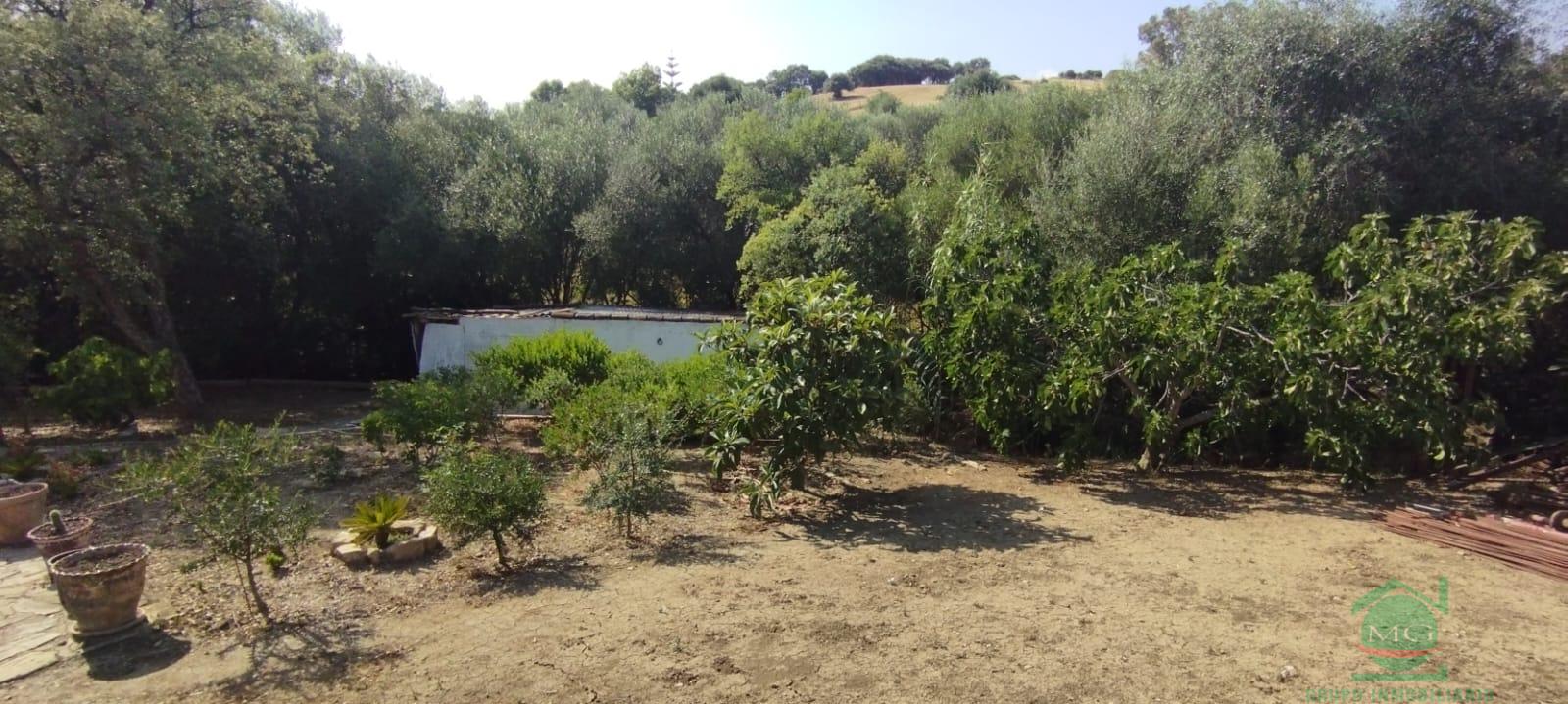 Venta de finca rústica en Jimena de la Frontera