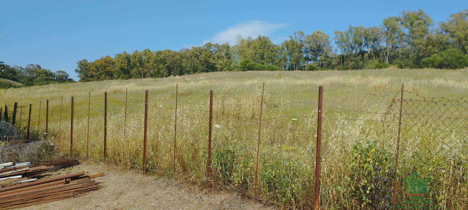 Venta de finca rústica en Jimena de la Frontera