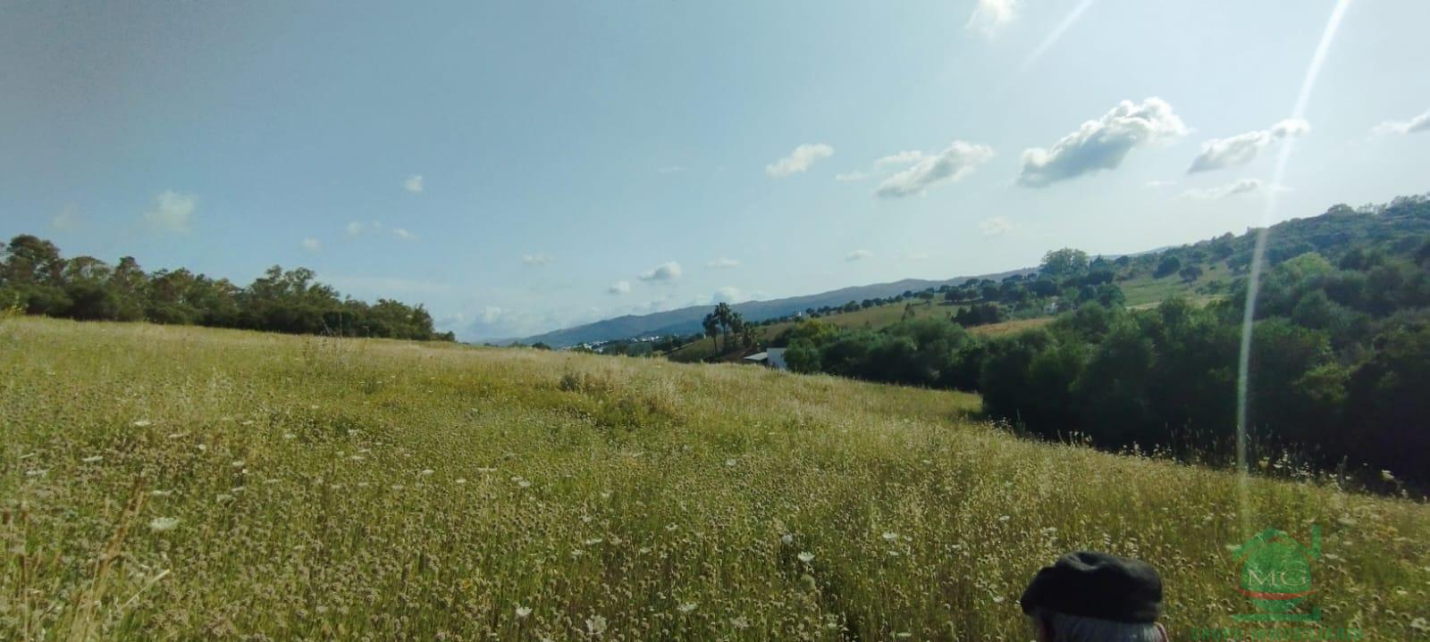 Venta de finca rústica en Jimena de la Frontera