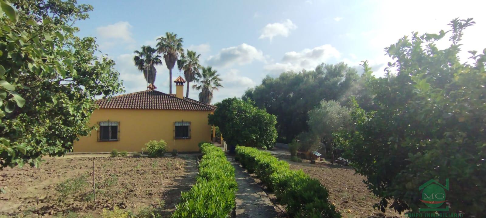 Venta de finca rústica en Jimena de la Frontera