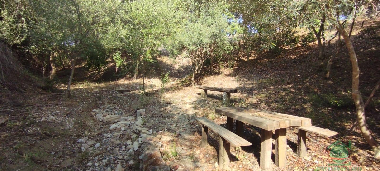 Venta de finca rústica en Jimena de la Frontera