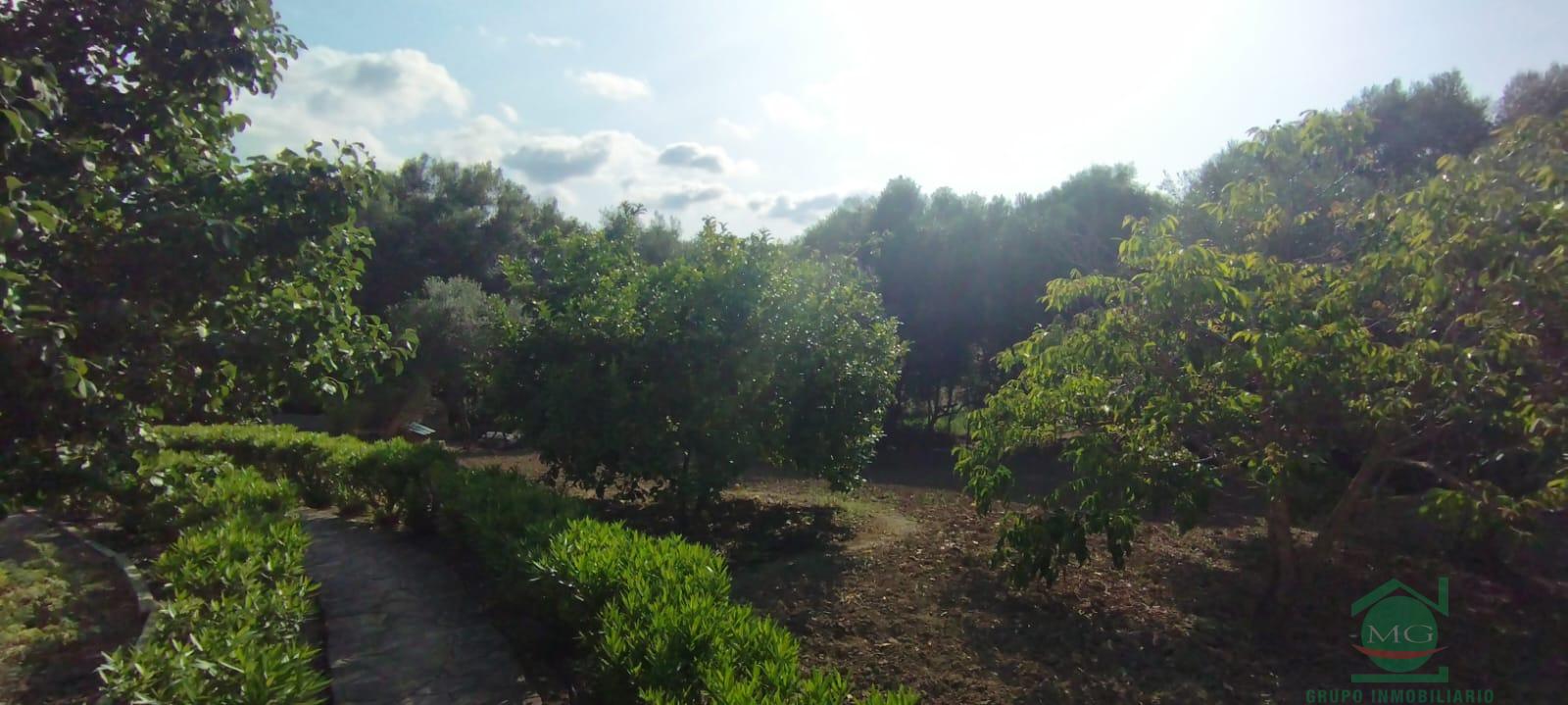 For sale of rural property in Jimena de la Frontera