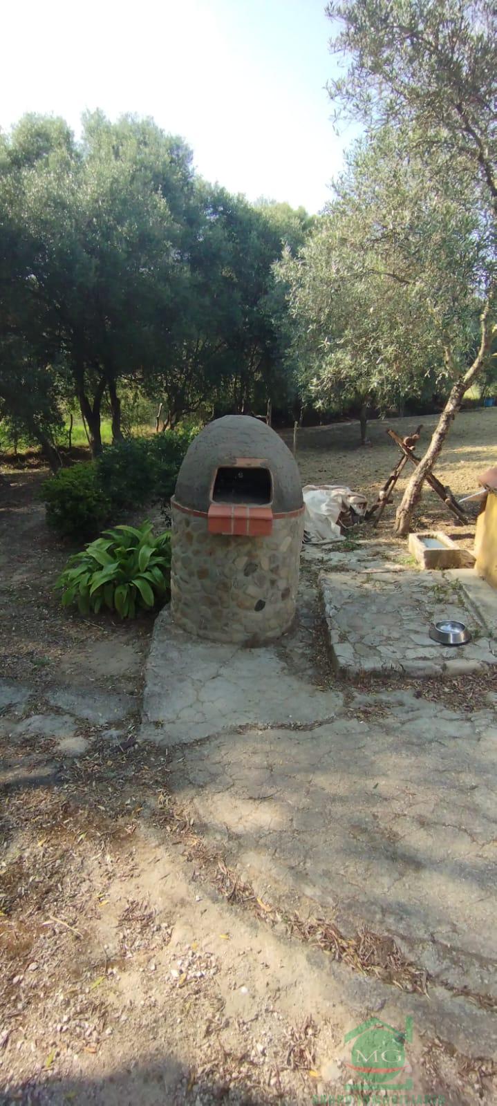 For sale of rural property in Jimena de la Frontera