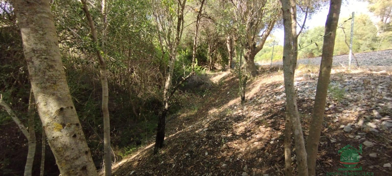 For sale of rural property in Jimena de la Frontera