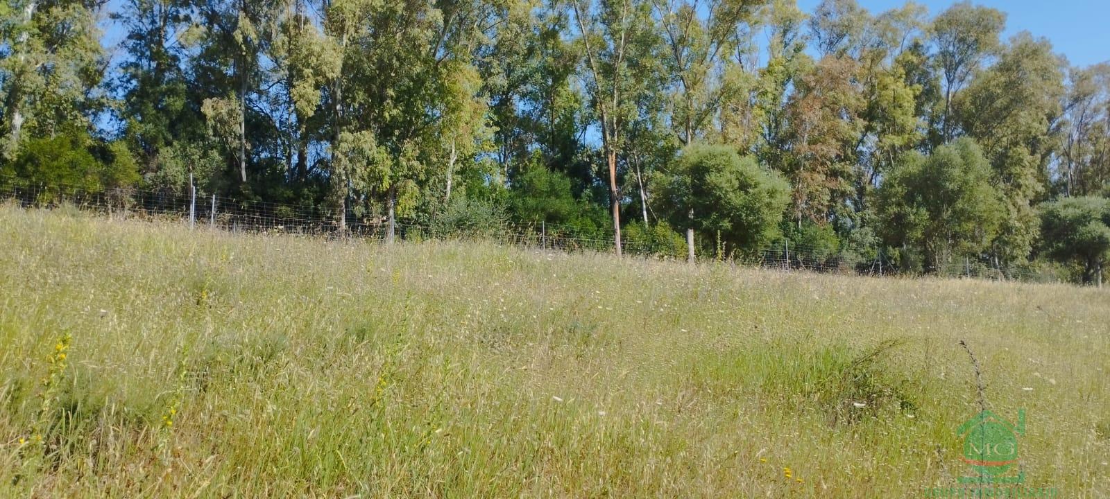 For sale of rural property in Jimena de la Frontera