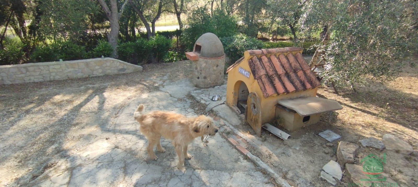 Venta de finca rústica en Jimena de la Frontera