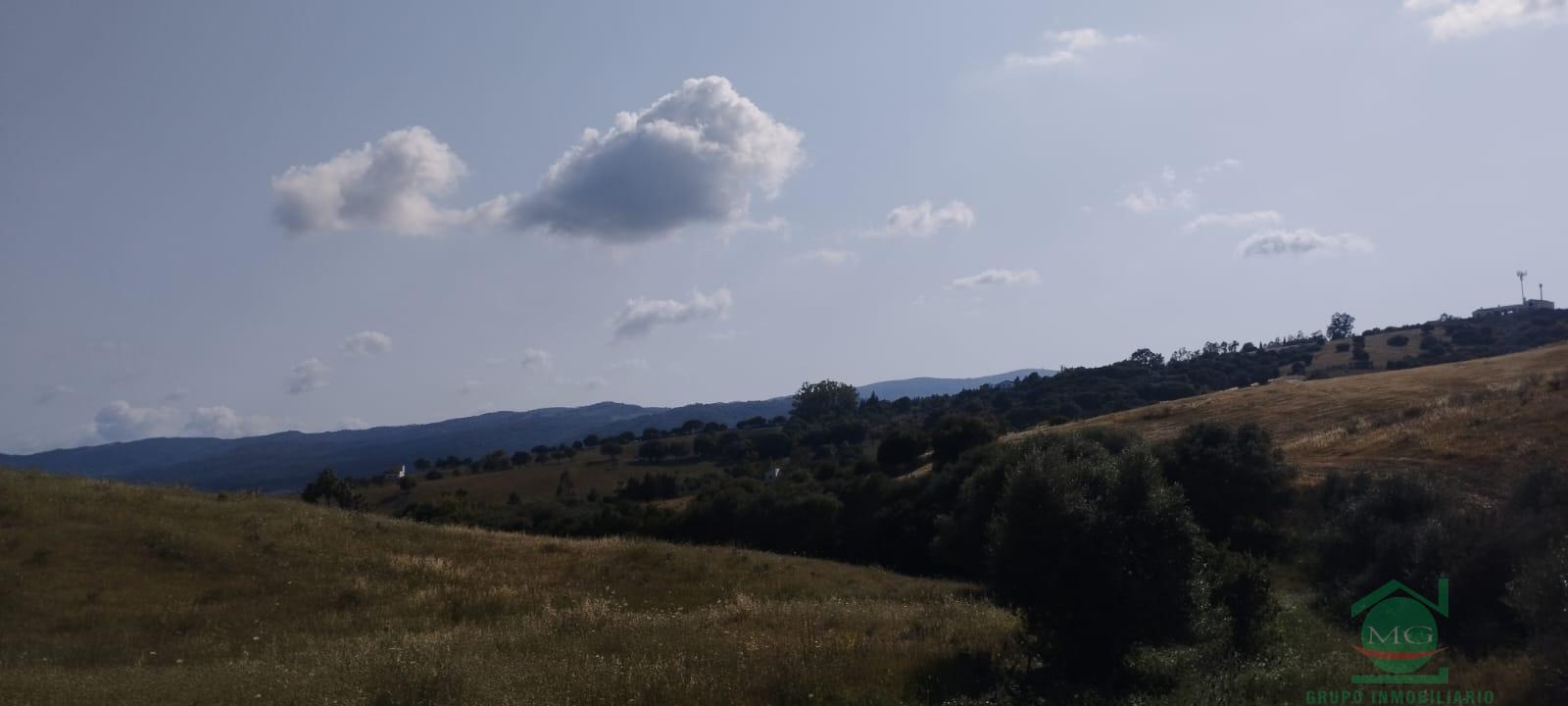 Venta de finca rústica en Jimena de la Frontera