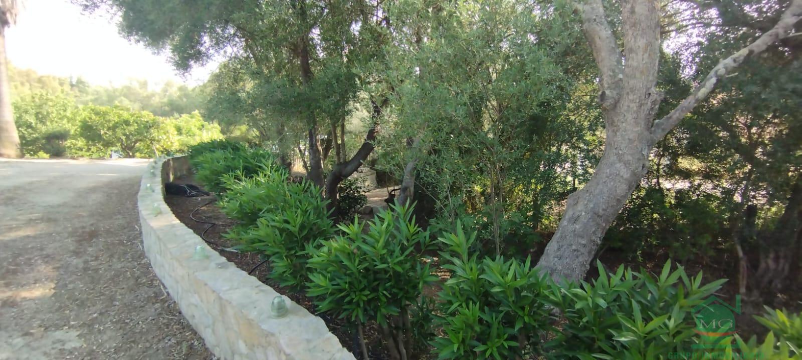 For sale of rural property in Jimena de la Frontera