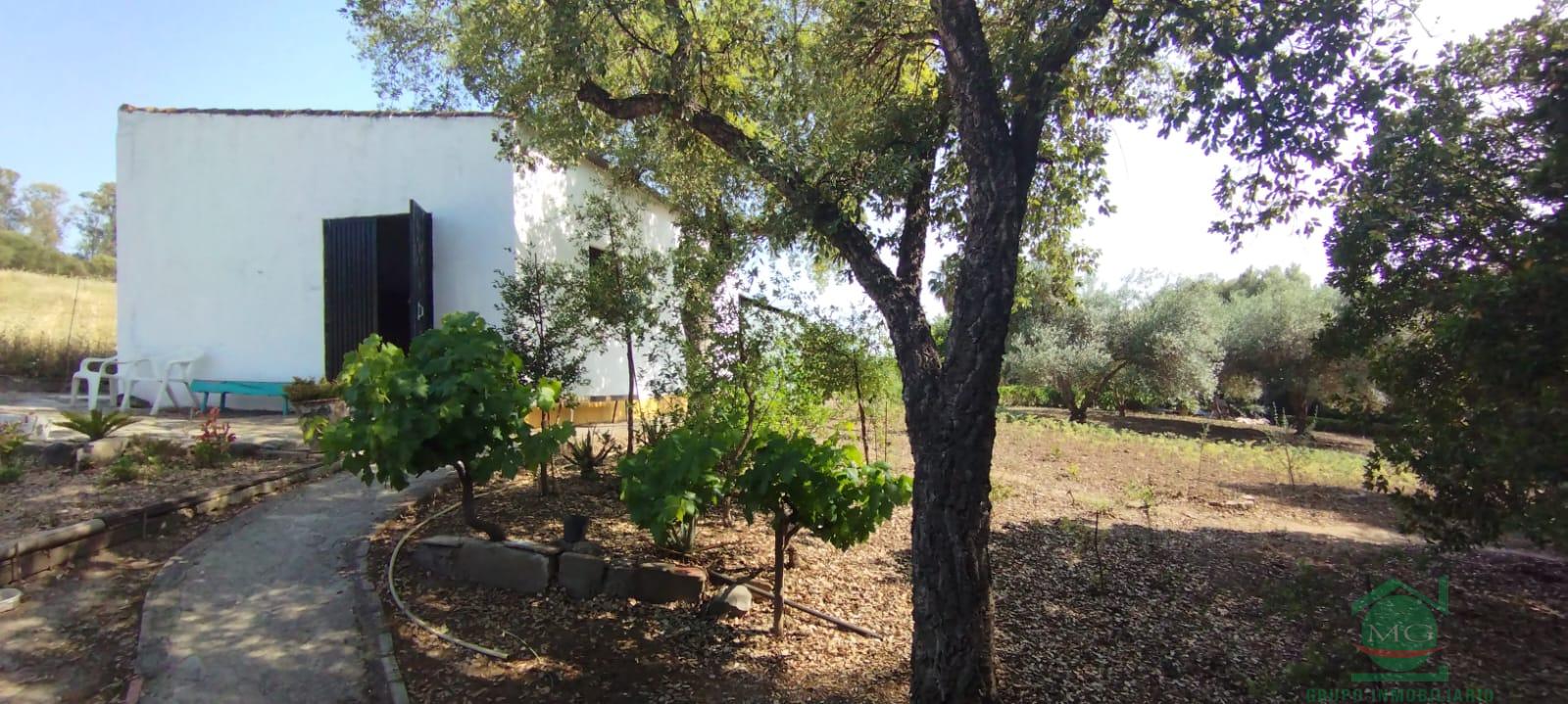 Venta de finca rústica en Jimena de la Frontera