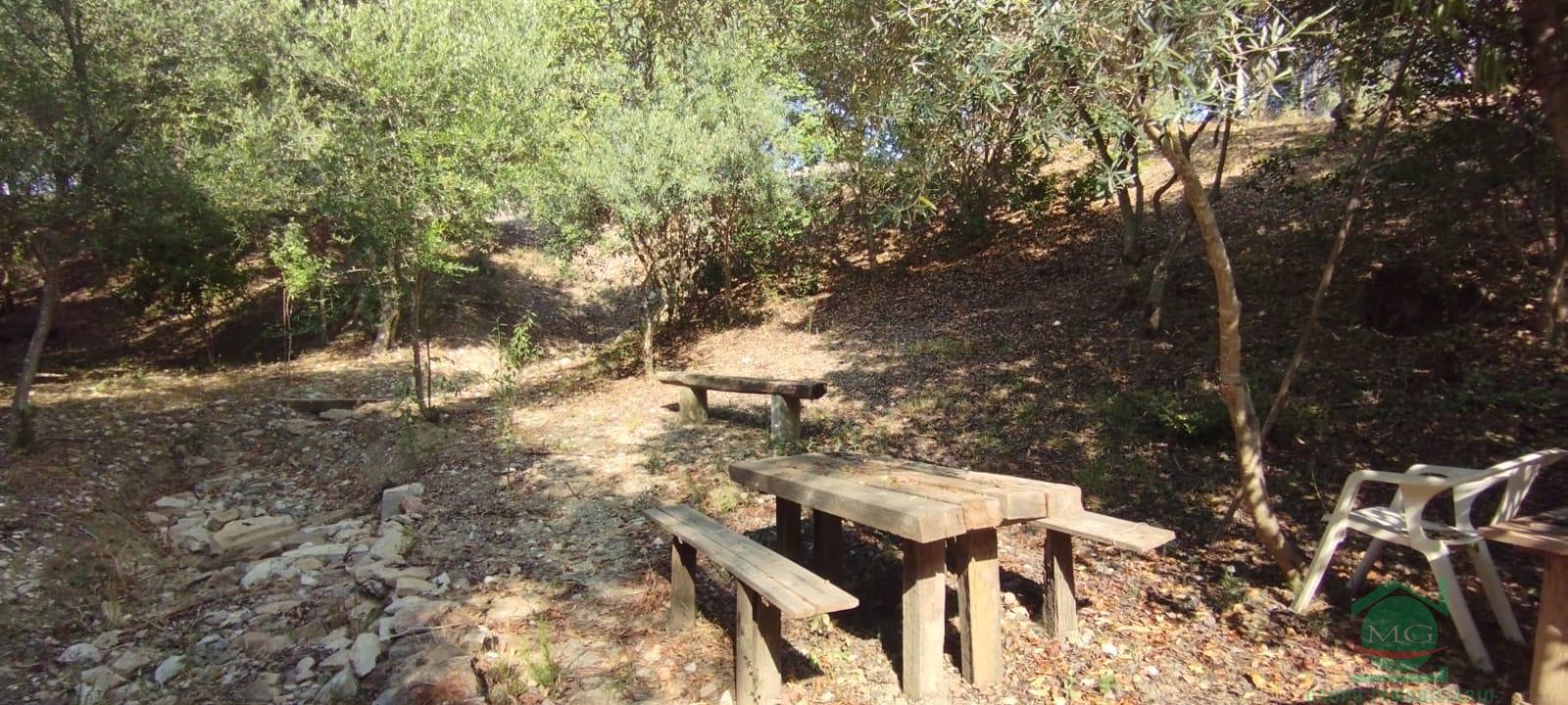 For sale of rural property in Jimena de la Frontera
