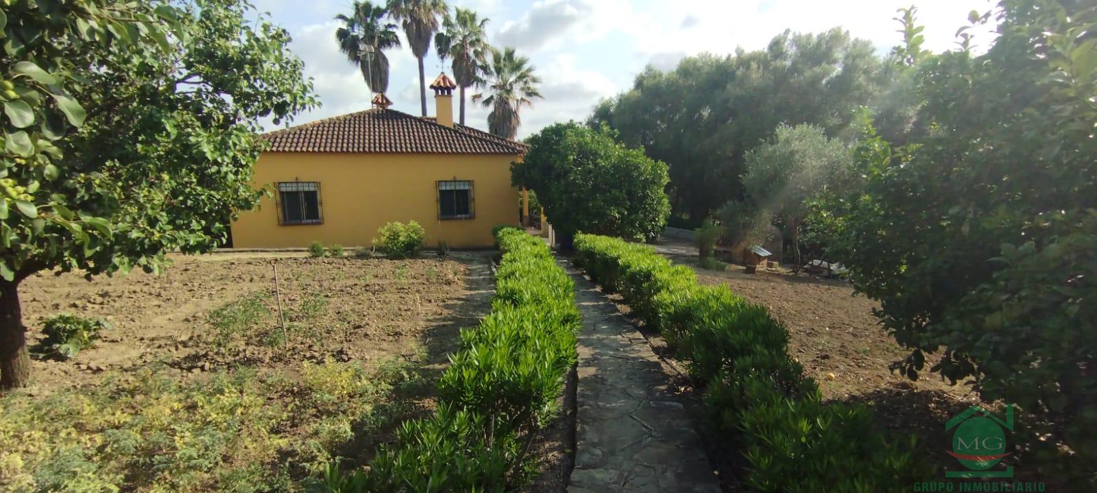 Venta de finca rústica en Jimena de la Frontera