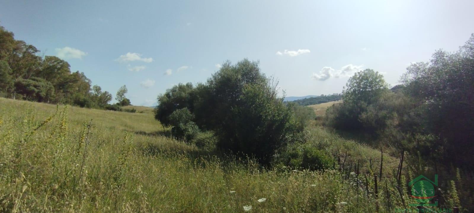 Venta de finca rústica en Jimena de la Frontera