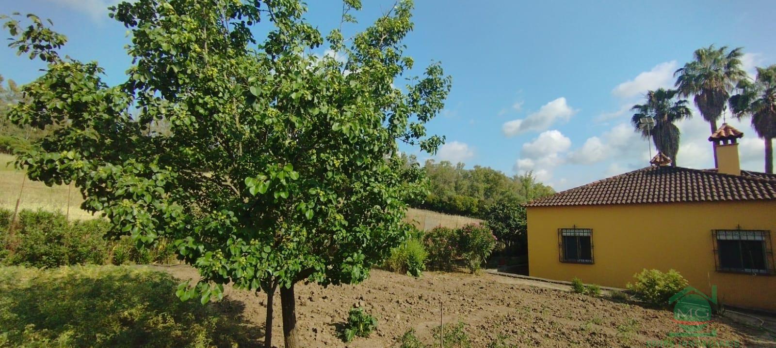 Venta de finca rústica en Jimena de la Frontera