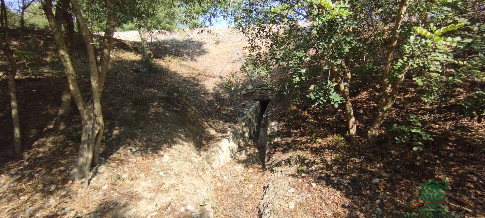 For sale of rural property in Jimena de la Frontera
