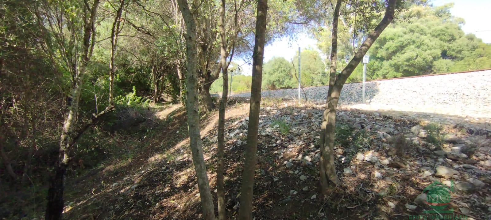 For sale of rural property in Jimena de la Frontera