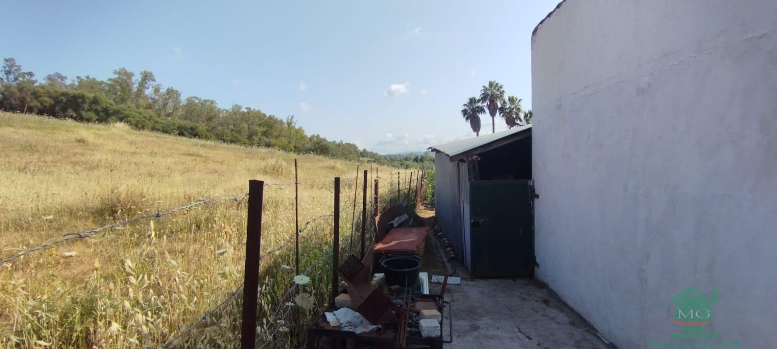 Venta de finca rústica en Jimena de la Frontera